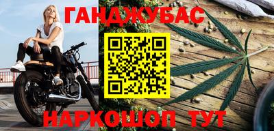 трава Кингисепп