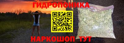трава Кингисепп