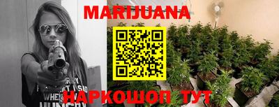 трава Кингисепп