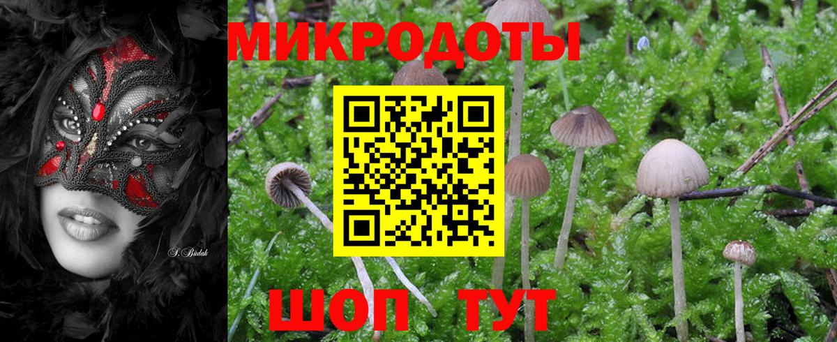 Галлюциногенные грибы Psilocybine cubensis  Вход с VPN  Камышин 
