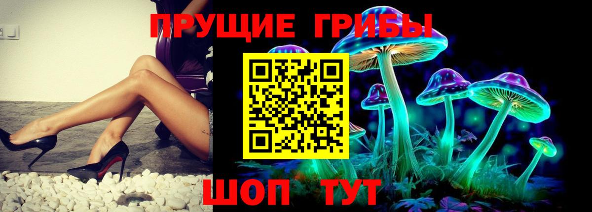 Псилоцибиновые грибы прущие грибы Камышин