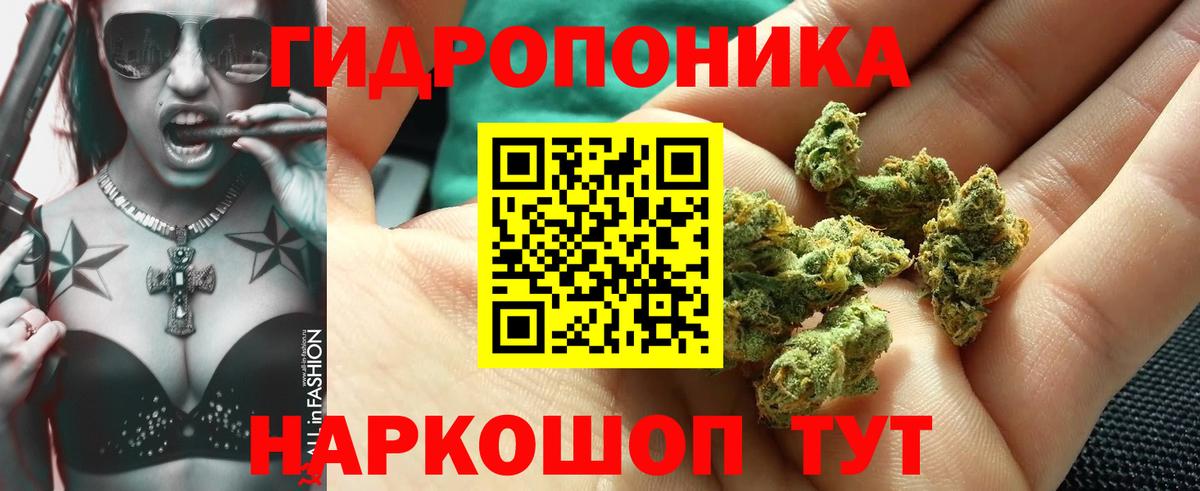 Камышин  Каннабис MAZAR  Вход с VPN  Марихуана Amnesia  Бошки Шишки LSD WEED 